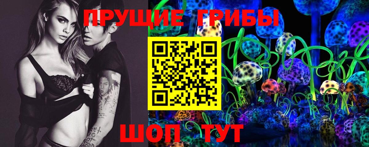Чита  Псилоцибиновые грибы GOLDEN TEACHER  Вход с VPN 